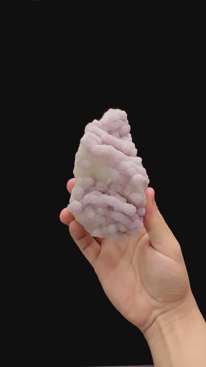 Specimen rotation video 0297