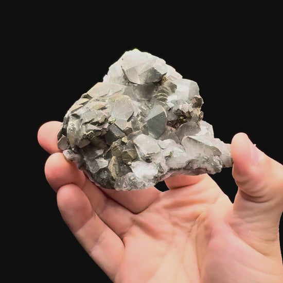 Specimen rotation video 561