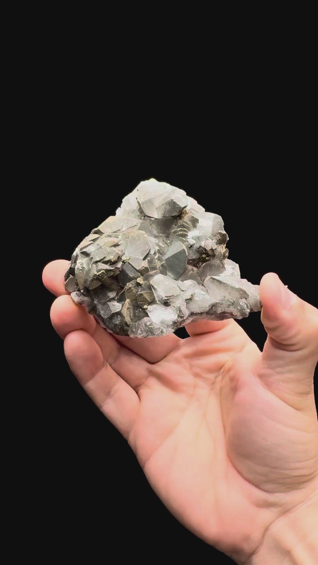 Specimen rotation video 561