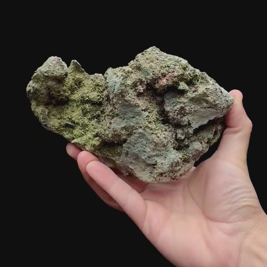 Specimen rotation video 210