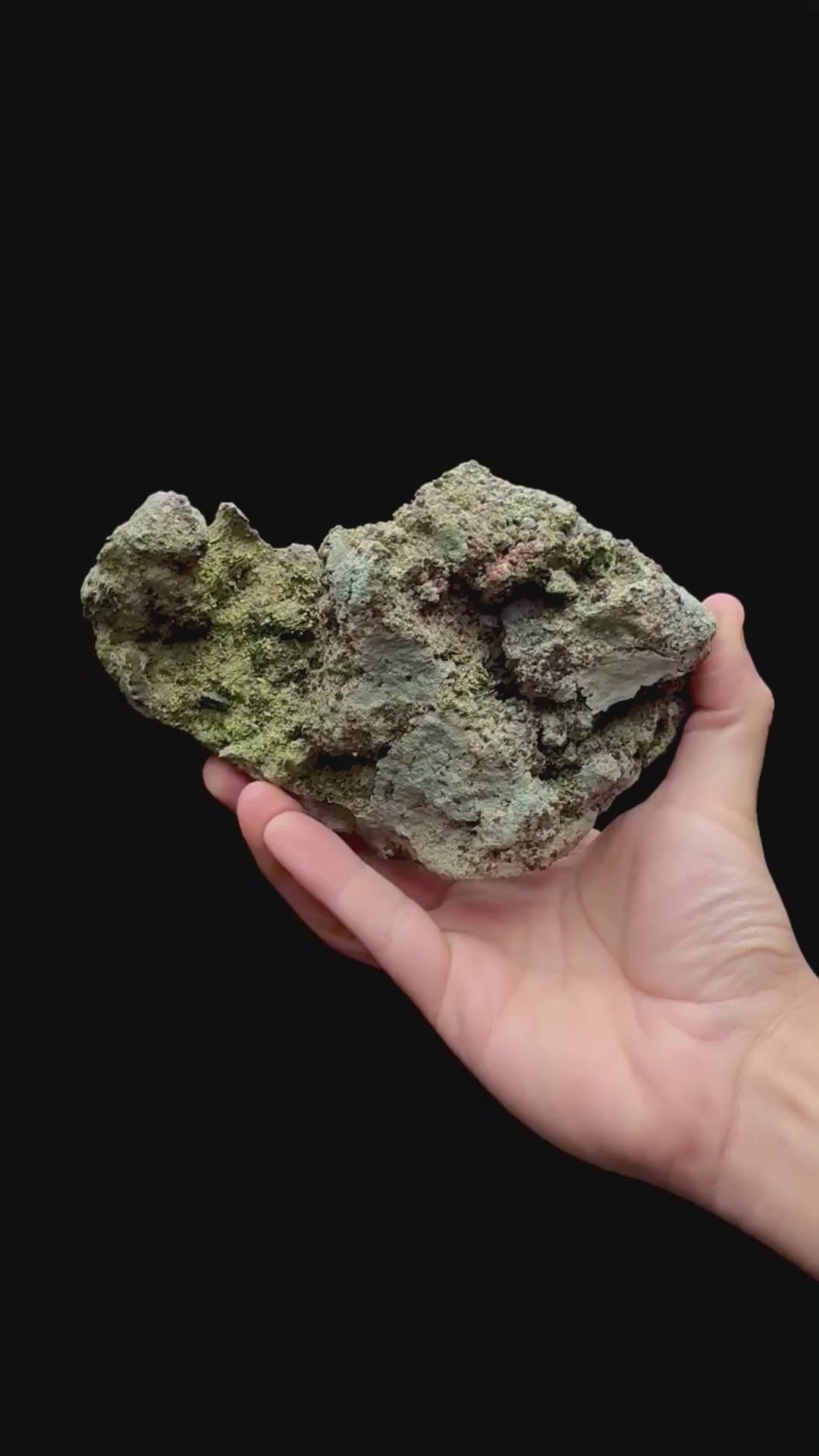 Specimen rotation video 210