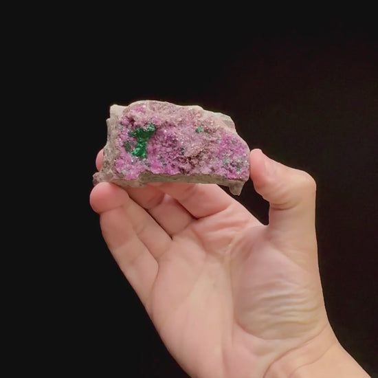 Specimen rotation video 0308
