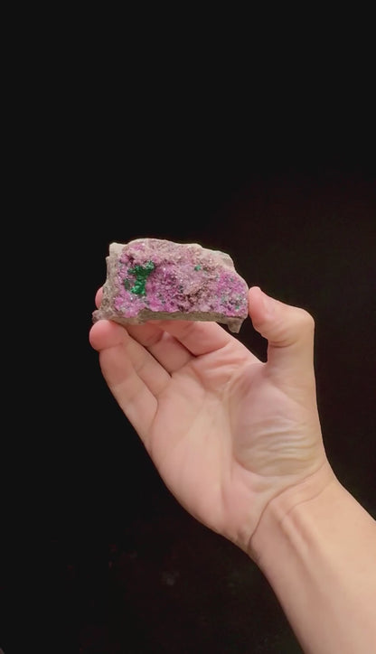 Specimen rotation video 0308