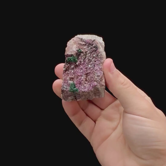 Specimen rotation video 0285