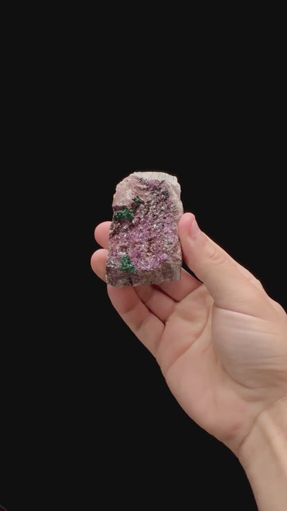 Specimen rotation video 0285