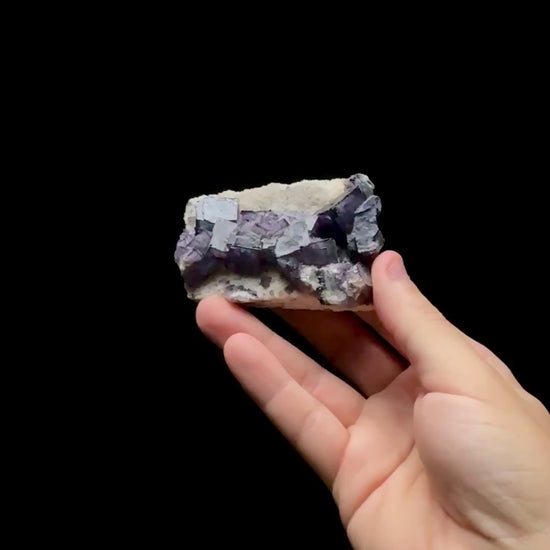 Specimen rotation video 0737