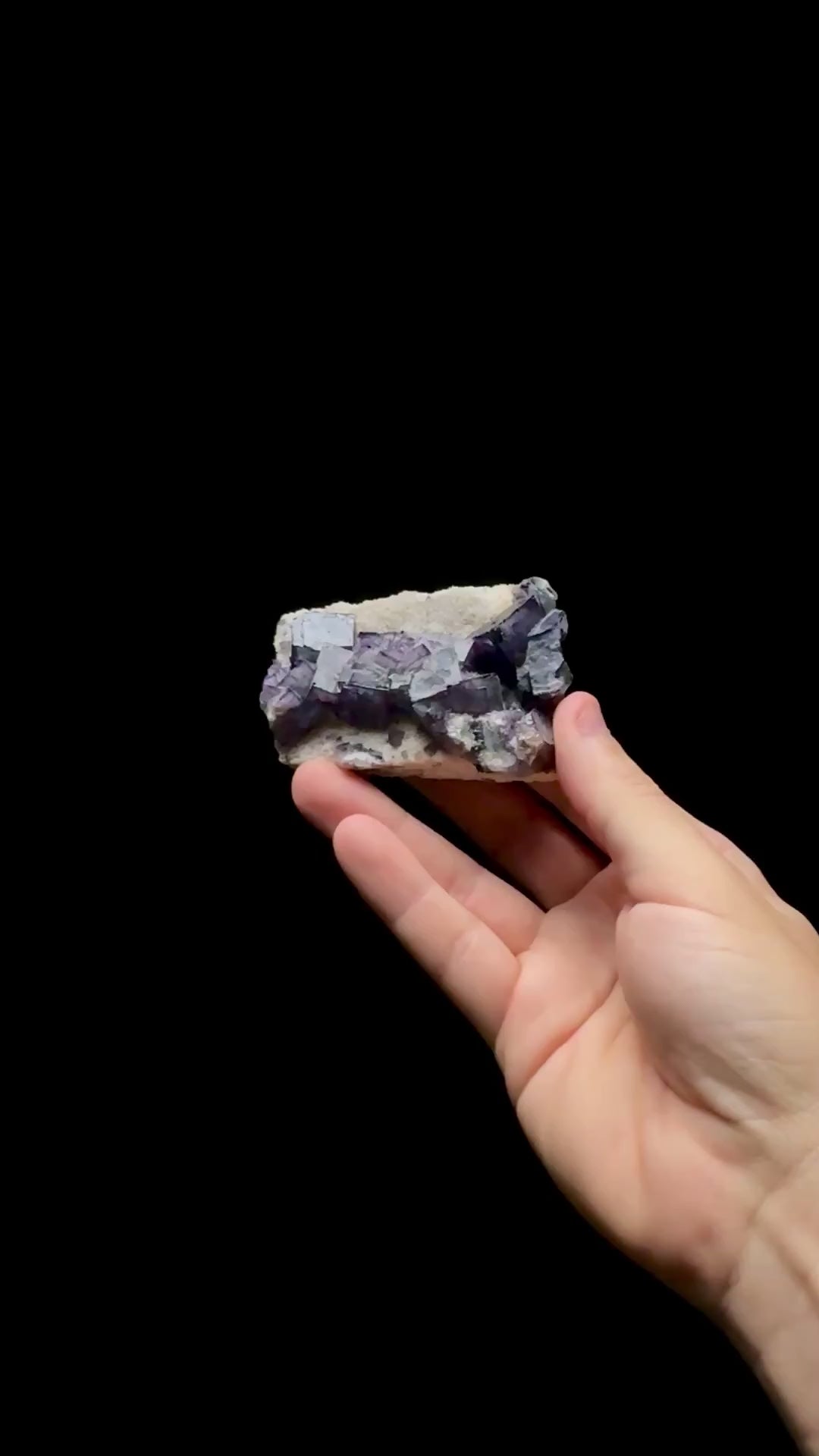 Specimen rotation video 0737