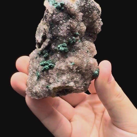 Specimen rotation video 614