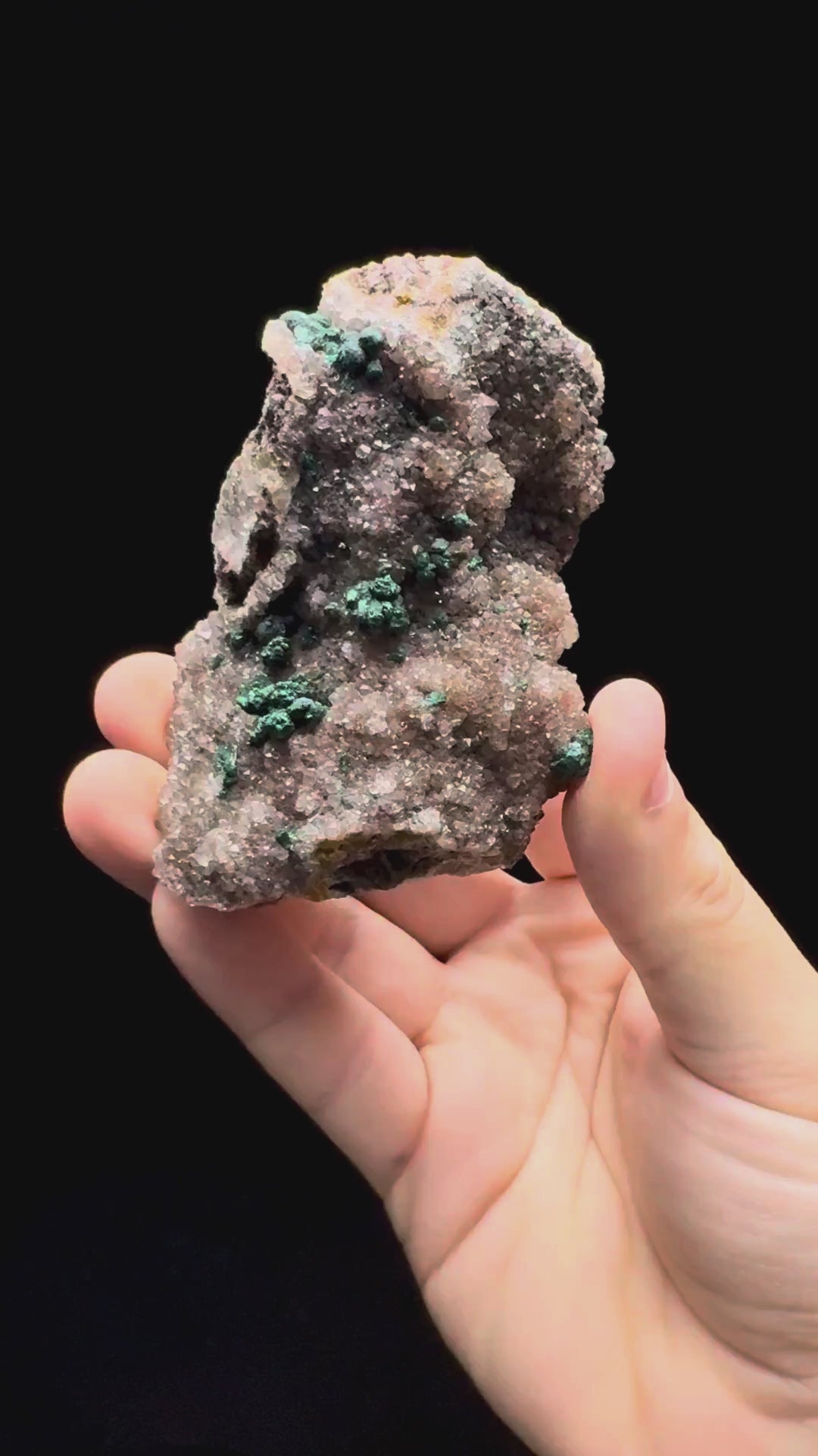 Specimen rotation video 614