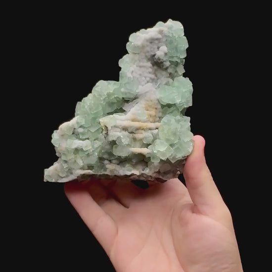 Specimen rotation video 0239