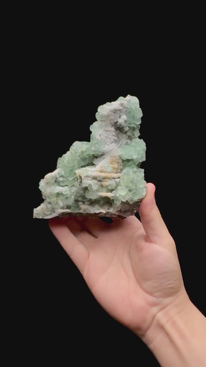 Specimen rotation video 0239