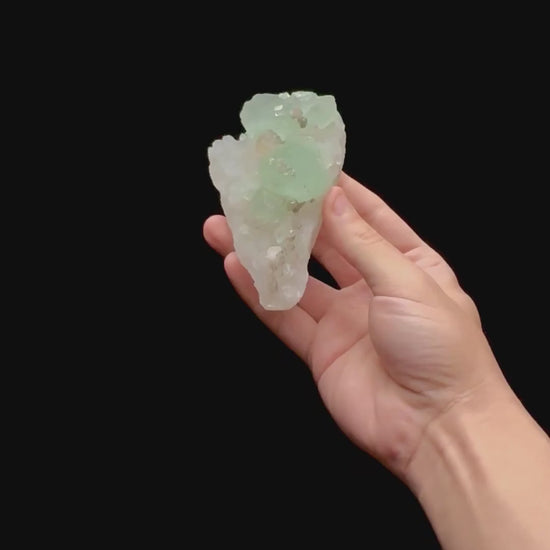 Specimen rotation video 0415