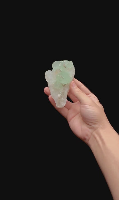 Specimen rotation video 0415