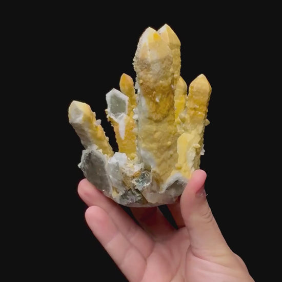Specimen rotation video 0267