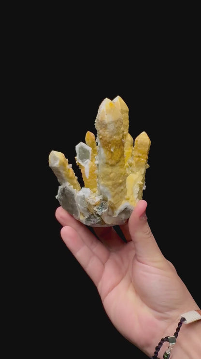 Specimen rotation video 0267