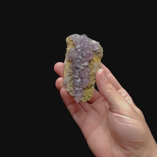 Specimen rotation video 0472