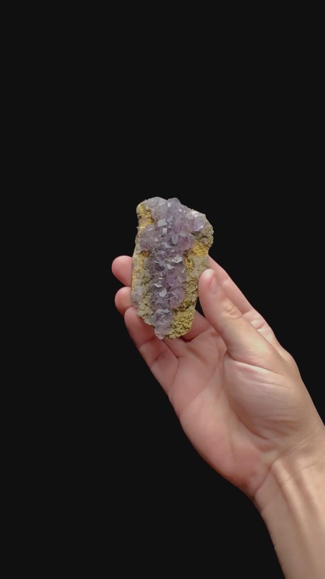 Specimen rotation video 0472