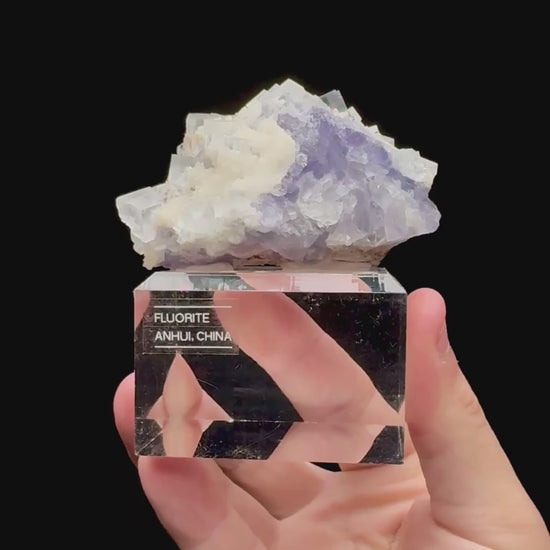 Specimen rotation video 074