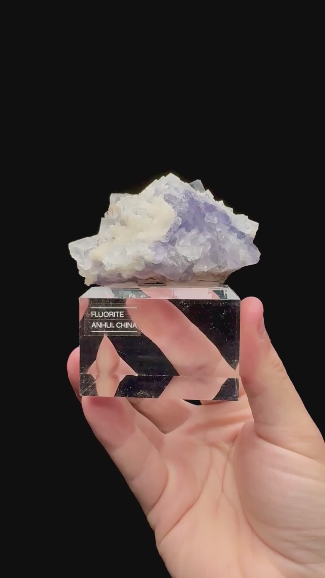 Specimen rotation video 074