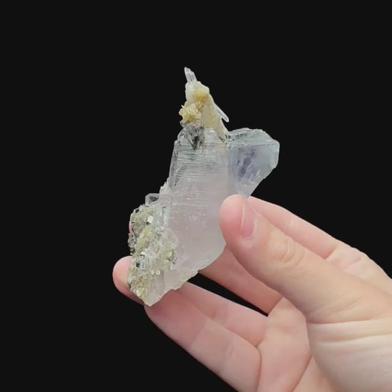 Specimen rotation video 202