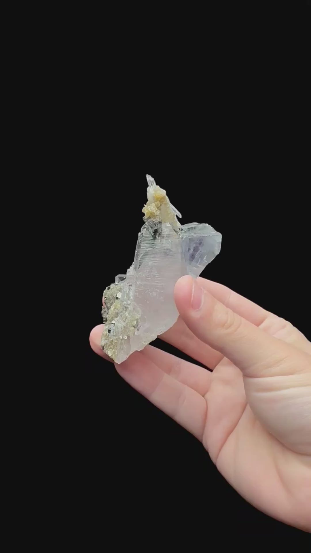 Specimen rotation video 202