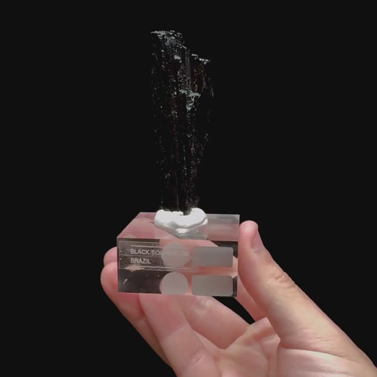Specimen rotation video 0336