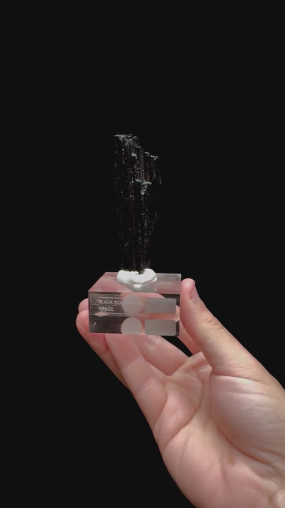 Specimen rotation video 0336