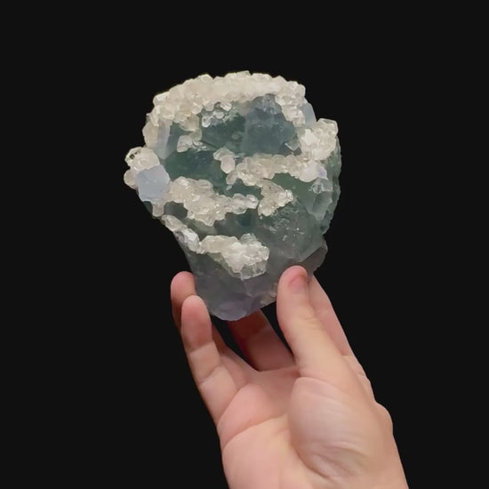 Specimen rotation video 0412