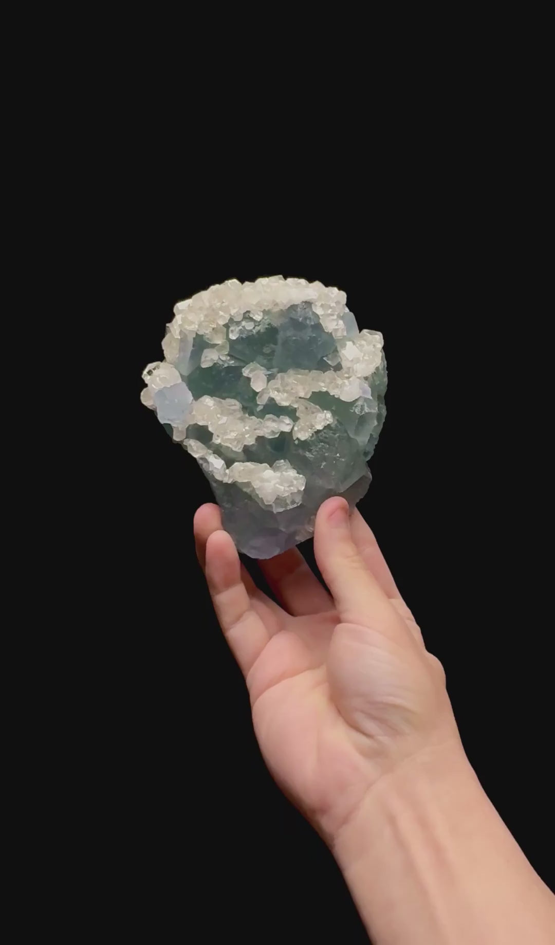Specimen rotation video 0412
