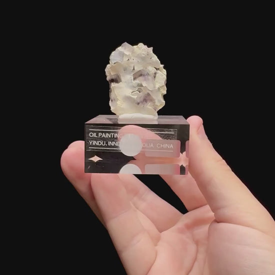 Specimen rotation video 0311