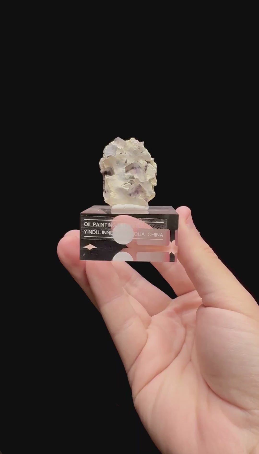 Specimen rotation video 0311