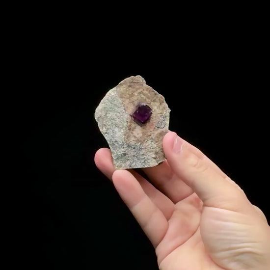 Specimen rotation video 0600
