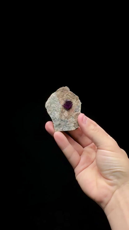 Specimen rotation video 0600