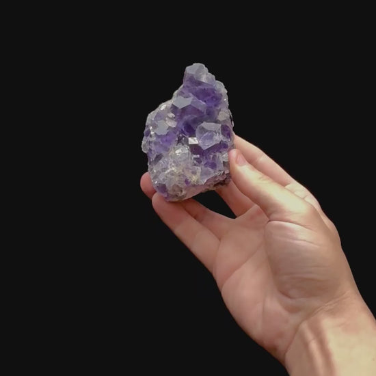 Specimen rotation video 0410