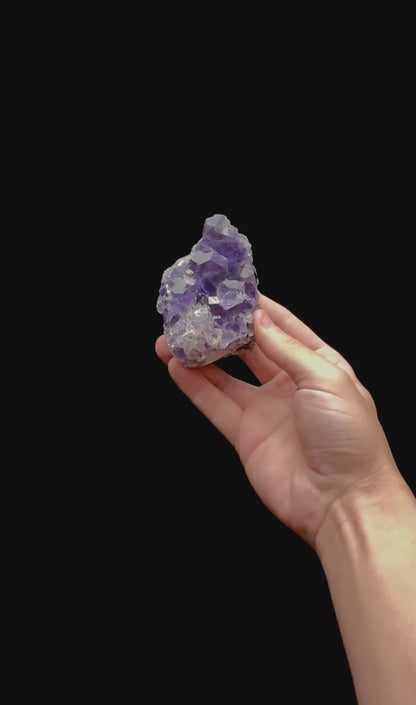 Specimen rotation video 0410