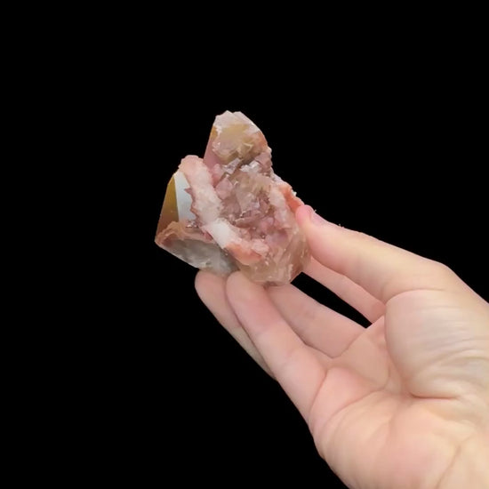 Specimen rotation video 0691