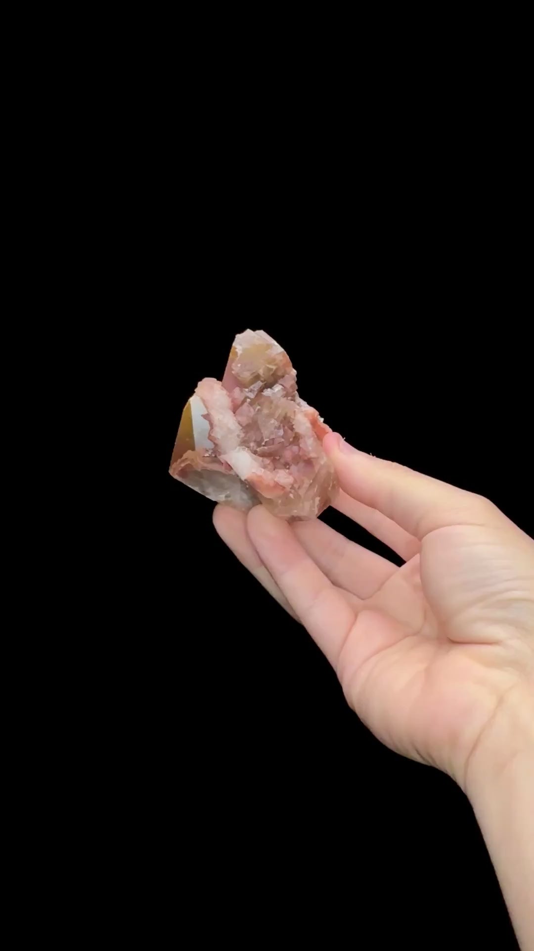 Specimen rotation video 0691
