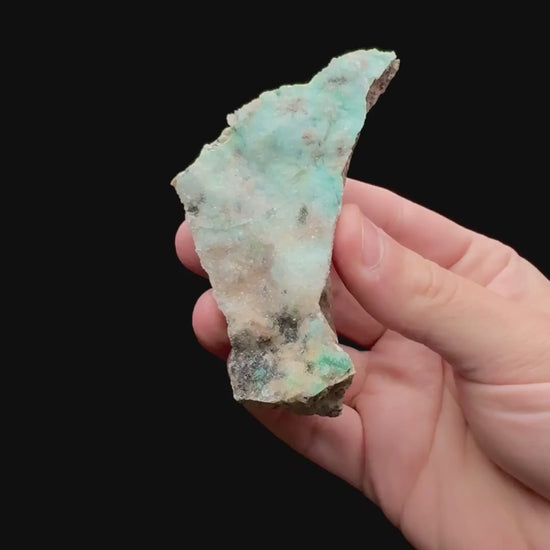 Specimen rotation video 134