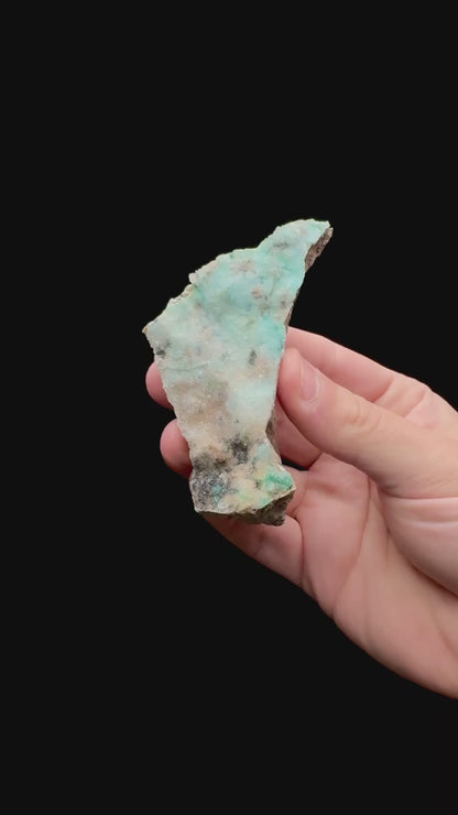 Specimen rotation video 134