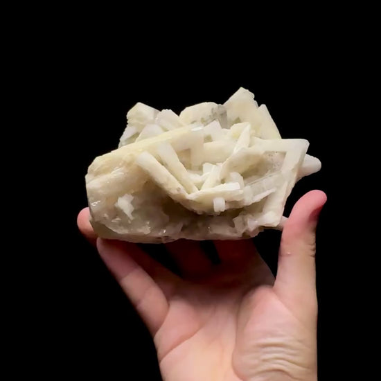 Specimen rotation video 0755