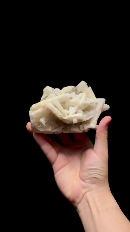 Specimen rotation video 0755