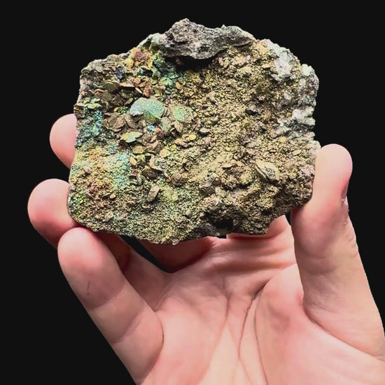 Specimen rotation video 023