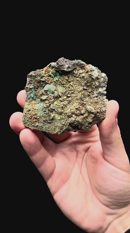 Specimen rotation video 023