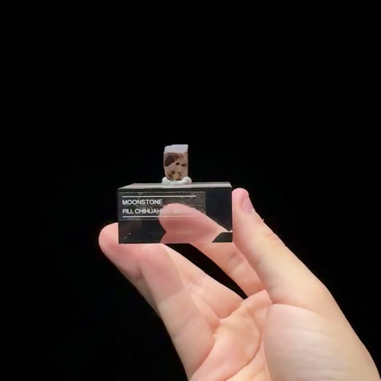 Specimen rotation video 0584