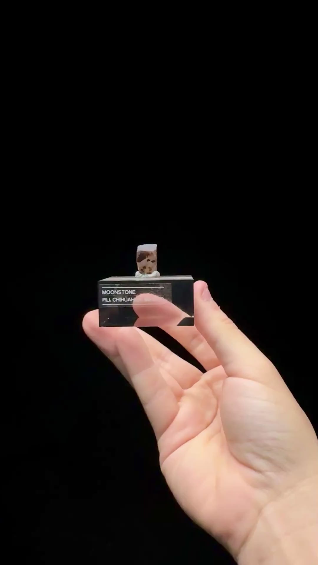 Specimen rotation video 0584