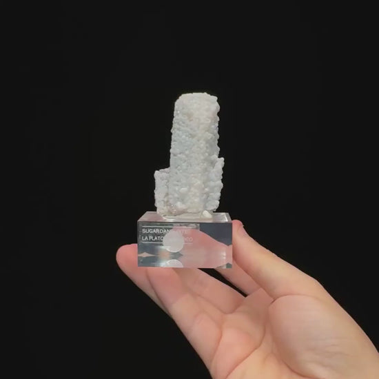 Specimen rotation video 0729