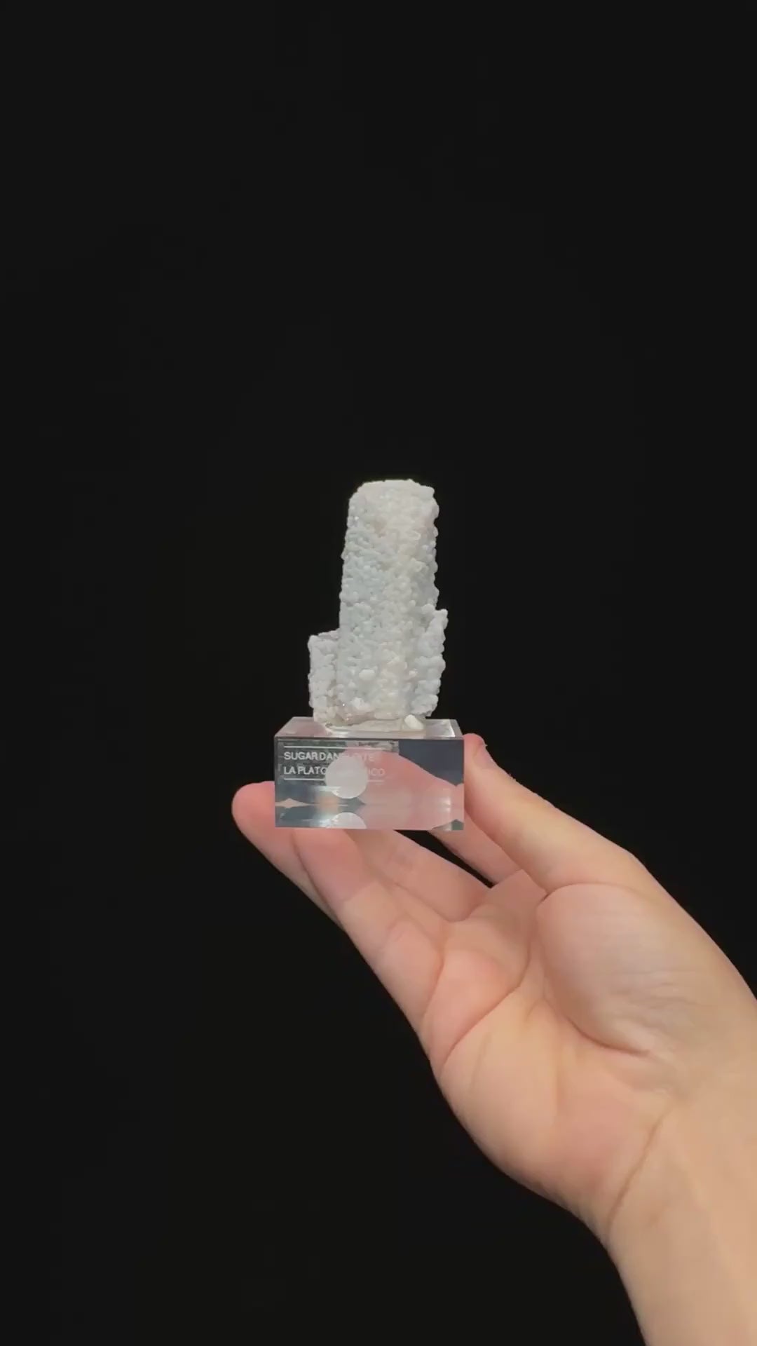 Specimen rotation video 0729