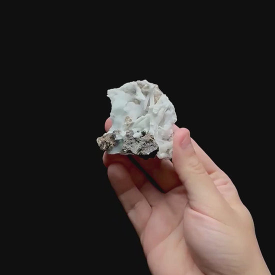 Specimen rotation video 0401