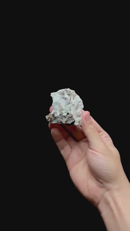 Specimen rotation video 0401