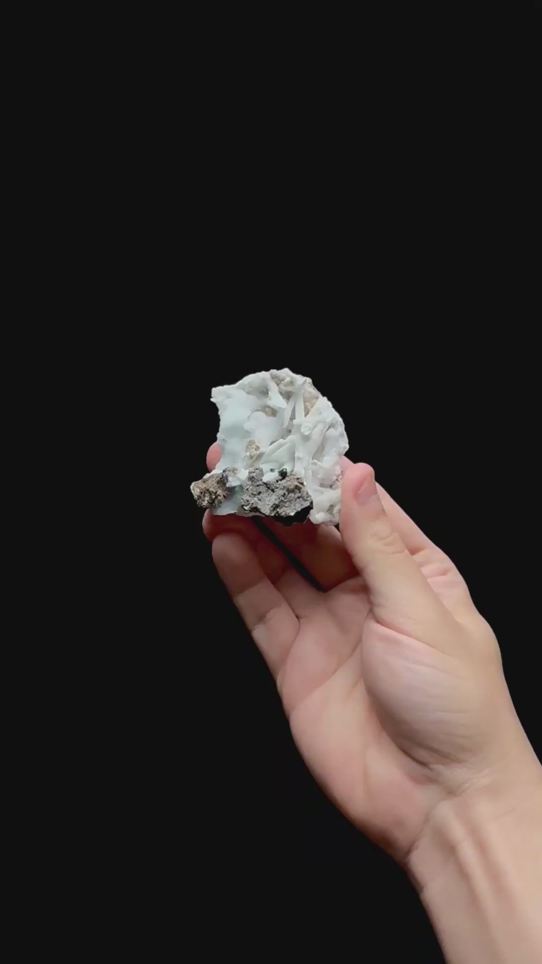 Specimen rotation video 0401